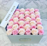 파랑새에 있는 경순 남님의 핀 | 자연