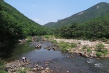 백화산 호국의 길은 경북 상주시 모동면 수봉리에서 충청북도 영동군 황간면으로 흐르는 석천의 옛길을 복...