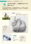 014.드로잉 퍼펙트 레슨(Drawing Perfect Lesson)에 있는 타란테라님의 핀