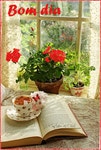 ღ Cantinho da Chris ღ - Google+ | 제라늄, 화분 꽃, 꽃
