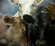 기초에 있는 태호 강님의 핀