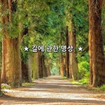 ★ 길에 관한 명상 ★  1. 길은 떠나기 위해서  존재하는 것이 아니라 돌아오기 위해서 존재하는 것이다.   2. 인간이 길을 만들기 이전에는  모든... 