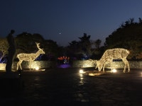 제주 조각공원 18시부터 야간