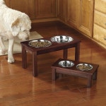 pet furniture에 대한 이미지 검색결과