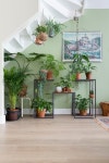 60+ Plant Stand Design Ideas for Indoor Houseplants | 실내식물, 실내정원, 실내 화초