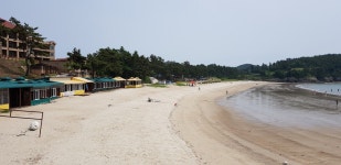 신안군 증도면