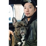[New] The 10 Best Home Decor (with Pictures) -  봉구랑 팬션으루 아직... dog #불독 #봉구 #애견펜션… | French bulldog, Bulldog, Dogs