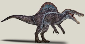 Resultado de imagem para spinosaurus | 공룡, 쥬라기 공원