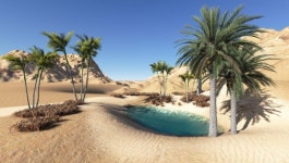 Pin by ㅈㅇㅈ on desert | Oasis, Stock images free, Landscape design