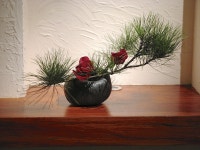 동양꽃꽂이에 있는 오_들🍂님의 핀 | 꽃꽂이