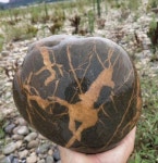 수석에 있는 엔젤코리아님의 핀(이미지 포함)