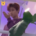 오뇽 on Twitter | Cute memes, Im changkyun, Monsta x