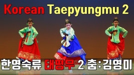 Traditional Korean dance | Taepyeongmu dance 2 | performance by Kim Youngmi | 블로그