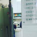 예방 접종하러 병원간 날  새봄이가 엄살피우는 법을 터득했다... #강아지#dog#개#doggy#반려동물#... in 2020 | Decor, Home decor, Furniture