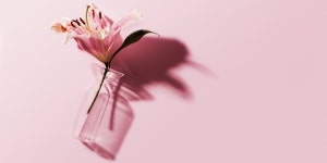 Good Thing | Old Faithful Shop | 정물