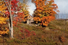 나만의 아지트 한번 쯤은 살고 싶은 숲속의 오두막 - Daum 부동산 | Landscape, Getaway cabins, Country cottage