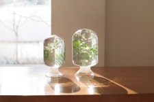 하바리움, : 스타일지음 | 카네이션, 인테리어, 화장품