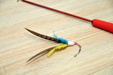 CAT FISHING FLY TOY(캣 피싱 플라이 토이) | 피싱