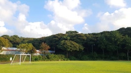 #금산공원 #납읍초등학교 #납읍리  오늘 오후. 산책. 금산공원 한바퀴 후 너무나도 이쁜 납읍초등학교에서 한 컷.... 