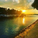 OGQ(오지큐) | 배경화면