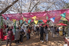 경북 안동 여행 가볼만한곳 월영교 | 여행, 풍경도, 물
