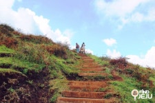 효리네민박 백약이오름 요즘 핫플 제주오름 명소 : 네이버 블로그 | 여행, 수채화 아트, 수채화