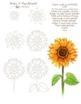Drawing Sunflowers | 꽃 그리는 법, 꽃 스케치, 꽃그림