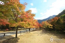 Naejangsan National Park (내장산국립공원) | Korea tourism, National parks, Tourism