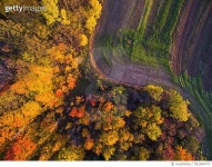 Aerial of Autumn woods and farm fields #gettyimages #게티이미지 #게티이미지코리아 #가을 #단풍 #풍경 #나무 #도로 #길 #비행기... 