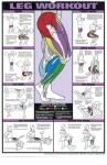 Workout Posters | 체육관 운동, 보디빌딩, 다리 운동