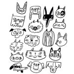 캘리에 있는 핀