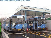 무진 정님이 한국 버스에 올린 버스 이미지 - 2020 | 한국