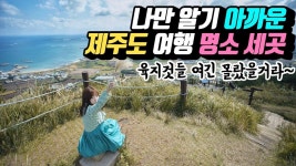 나만 알기 아까운 제주도 여행명소 세 곳! 사람없는 Cool 플레이스 추천 - YouTube(이미지 포함) | 여행, 아일랜드