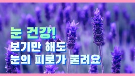 힐링음악 색채심리 컬러테라피에 있는 핀