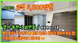 (2-229)경기 부천시 괴안동 방3 욕실2 17년식 엘베있음 주차100% 소사역과 역곡역사이! 🤗[부천신축빌라][부천신축빌라매매] - 2022