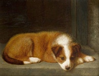 dog paintings auction | Bonhams Auction, Dogs in Show & Field Fine Art Sale - Vintage And Flea ...(이미지 포함)