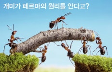 녹원학원 수학과학영재교육 010-3549-5206 - 2020 | 지도