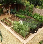 80 Affordable Backyard Vegetable Garden Design Ideas - 2021 | 정원 가꾸기, 채소 정원 디자인, 앞마당 조경