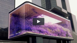 퍼블릭미디어 아트 BLOSSUM은 도심속에 자연의 아름다움을 가져다 놓아 거리를 생경한 분위기로 변화시킨다는 생각에서... 