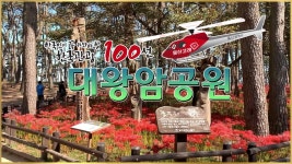 대왕암공원 / 꽃무릇 필 무렵 / 한국인이 꼭 가봐야 할 한국관광 100선 / 울산 - YouTube - 2022 | 울산, 꽃, 여행