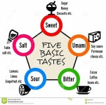 café에 있는 Cristian Desposito님의 핀 | 커피, 지식, 레시피