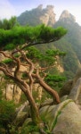 South Korea | 자연 사진, 풍경 사진