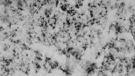 t117 B texture 박신영 38
