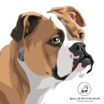 Pin page Bulls of Colour에 있는 Ciska Dijks님의 핀 | 그림, 팝아트