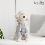 울리 WOOLLY, pet in style | Pets, Style, Teddy