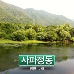 창원시내 사파동성아파트에서 150m 정병산으로 올라가니 울창한 숲으로 둘러싸인 저수지. 오후 3시반인데 다양한 새소리가 요란스럽다.... 