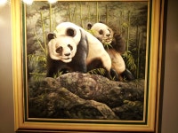 Trick Art Museum (트릭아트뮤지엄) in 서귀포, 제주 (Dengan gambar)