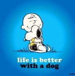 It so is! | 귀여운 개, 개, 강아지