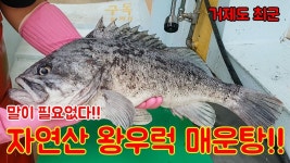 6짜 자연산 왕우럭으로 매운탕을?? 맛 쥑인다!!(이미지 포함) | 음식