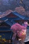 어는 봄날 지리산 화엄사(이미지 포함) | 조경설계, 여행
